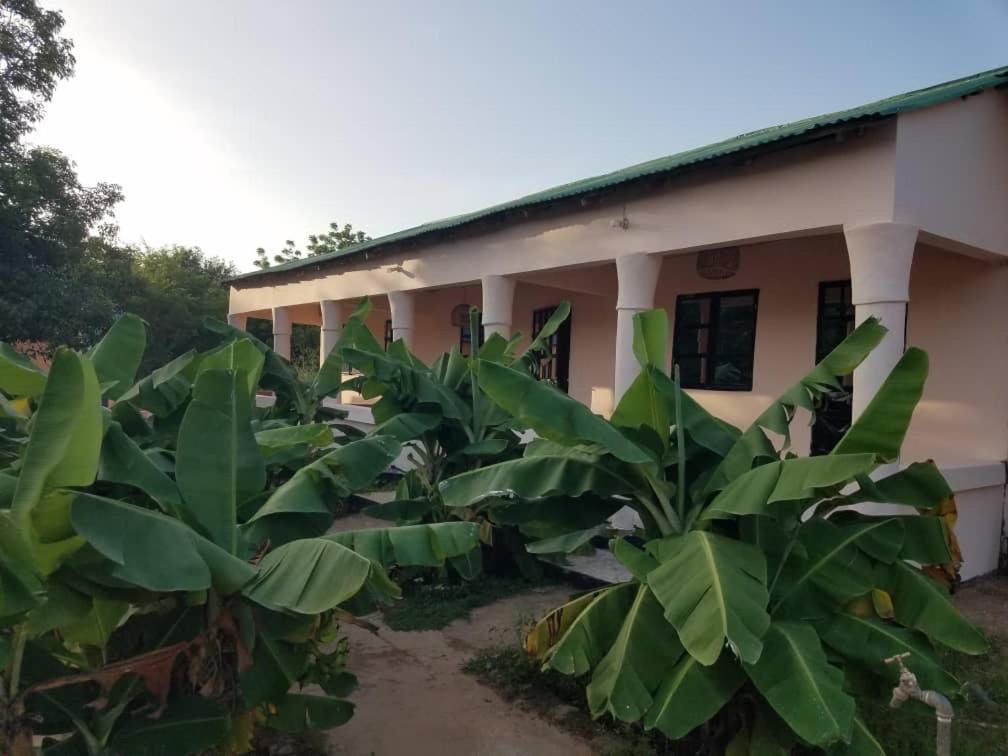Camping Sitaba Lodge Georgetown Buitenkant foto