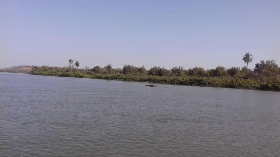 Camping Sitaba Lodge Georgetown Buitenkant foto