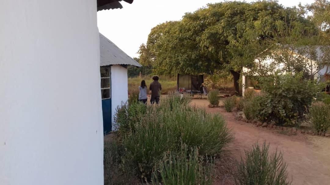 Camping Sitaba Lodge Georgetown Buitenkant foto